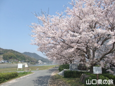 �؉��색�u���o�[�p�[�N�̍�����