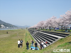 �؉��색�u���o�[�p�[�N�̍�����