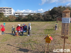 かかしコンテスト2015