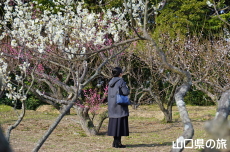下関市園芸センターの梅園