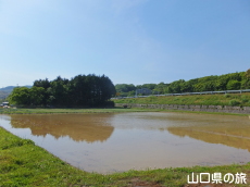 ����w����