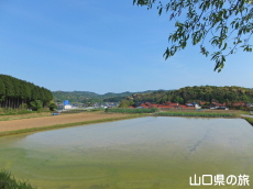 ����w����