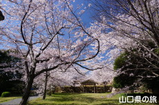 �֌�������̍�