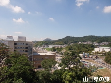 �֌������