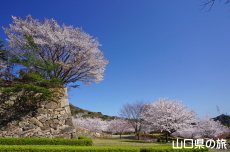 ���R��a�Ղ̍�