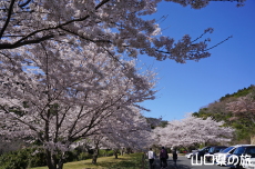 ���R��a�ՐՂ̍�