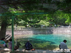 別府弁天池