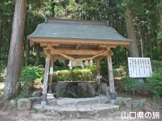 不老長寿の水