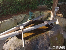 不老長寿の水