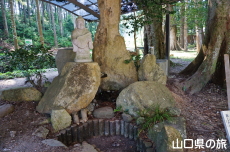 弁財天(女神)