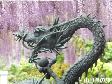 明教寺の藤棚