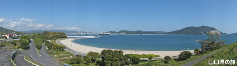 ���c�C�l�����S�i