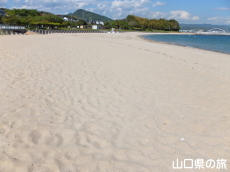 ���c�C�l����