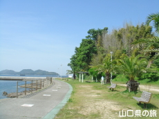 ���c�C�l����