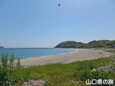 ���c�C�l����