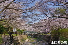 ���U����͐�����̍�