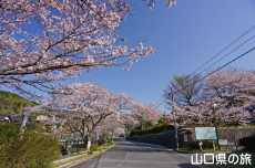 ���U����͐�����̍�