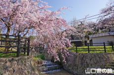 ���U����͐�����̎}����