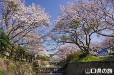 ���U����͐�����̍�