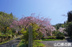 �O�����̑��̍�