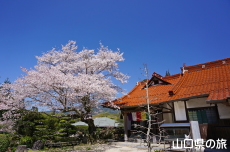 �O�����̍�