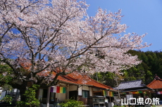 �O�����̍�