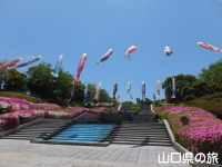 永源山公園のつつじ