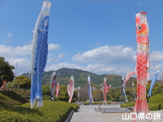 永源山公園の鯉のぼり