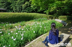 �B�e���y���ޗ����_