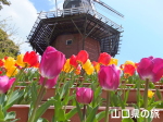 �i���R����