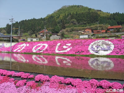 芝桜交流の里