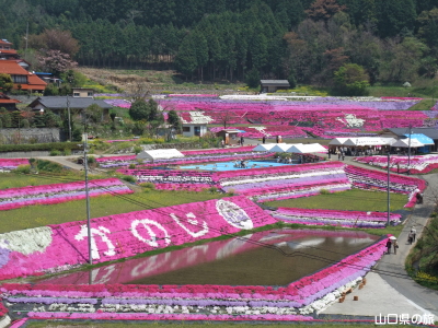 芝桜交流の里