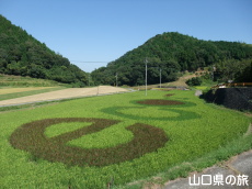 cڃA[g2009