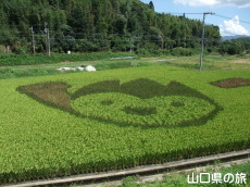 cڃA[g2011