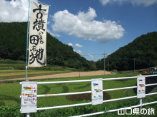 cڃA[g2011