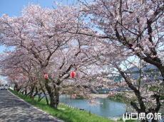 �c�z�{��̍�����