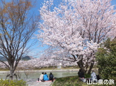 �c�z�{��̍�����