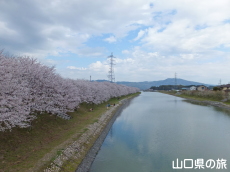 �c�z�{��̍�����