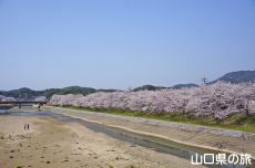 �c�z�{��͐�����̍�