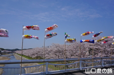 �c�z�{��͐�����̍�