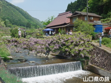 ���̂ӂ���2012