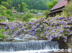 ���̂ӂ���2015