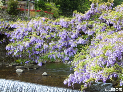 ���̂ӂ���