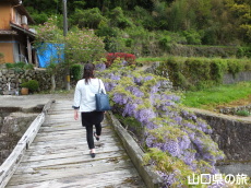 ���̂ӂ���2015