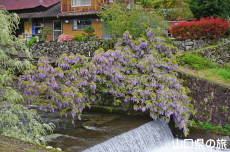 ���̓���2018