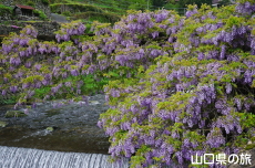 ���̓���2018