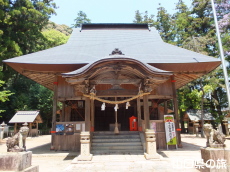 �o�_�_�Дq�a