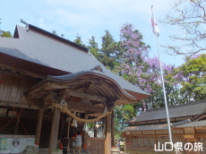 �o�_�_�Ђ̓�