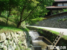 ������ۂ�r