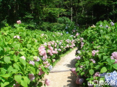 �d���̋��̎��z�ԃ��[�h